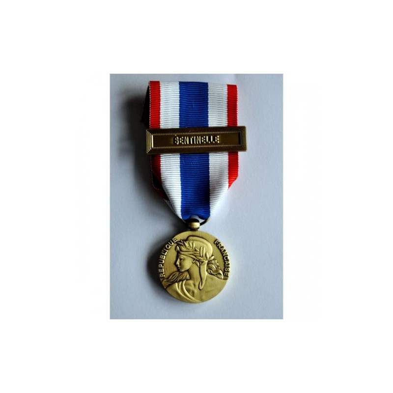 medaille de la protection militaire du territoire medaille de la protection militaire du territoire