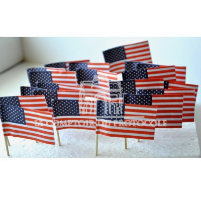 50 DRAPEAUX COCKTAIL 3x4CM - USA Etats-unis