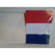 DRAPEAU FRANCE PAPIER 20x30cm sachet de 10 ex