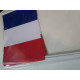 DRAPEAU FRANCE PAPIER 20x30cm sachet de 10 ex