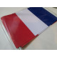 DRAPEAU FRANCE PAPIER 20x30cm sachet de 10 ex