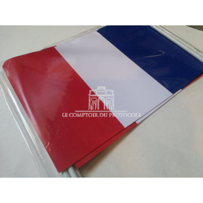 DRAPEAU FRANCE PAPIER 20x30cm sachet de 10 ex