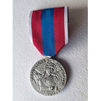 MEDAILLE DE LA DEFENSE NATIONALE ARGENT