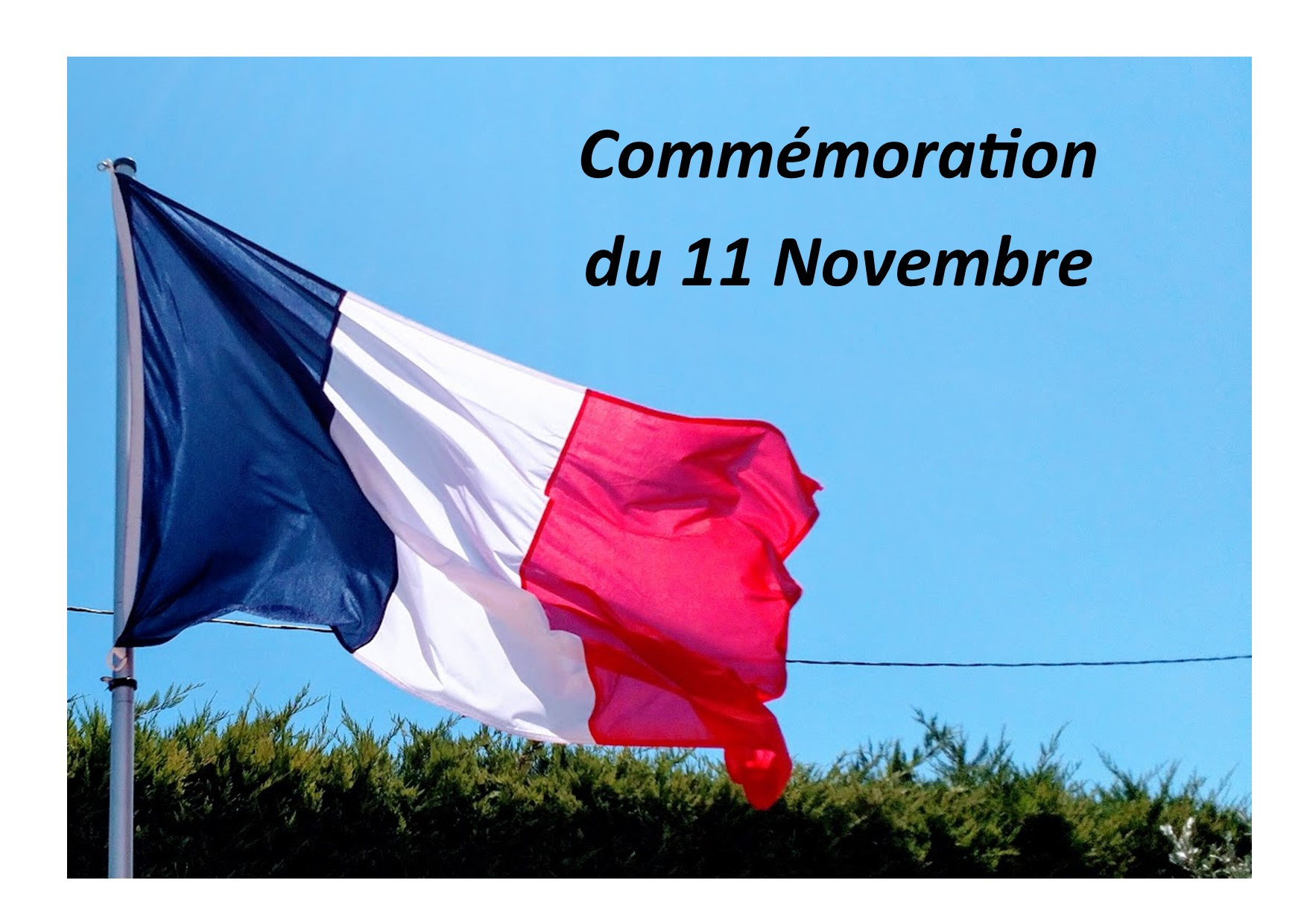 11 NOVEMBRE